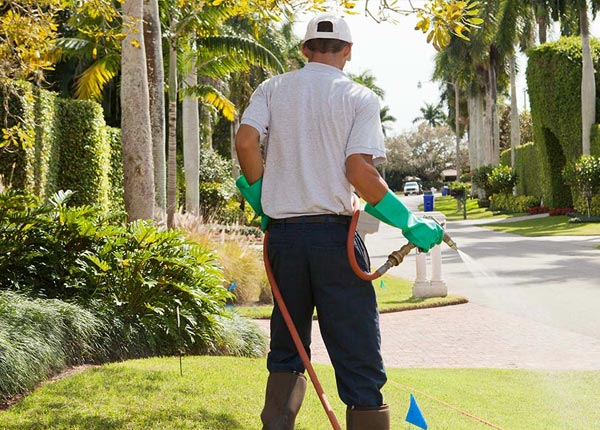 About Anita IA Pest Control